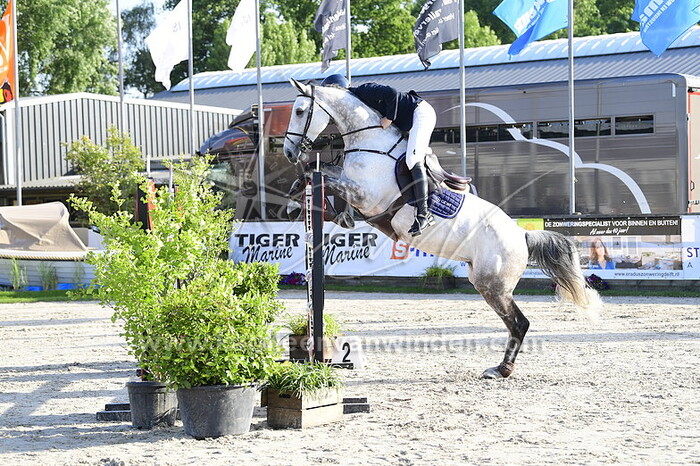 Tom Fonken - Confetti Z