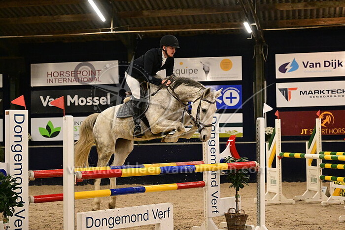 Dane Leemans - Avici La Loi Z