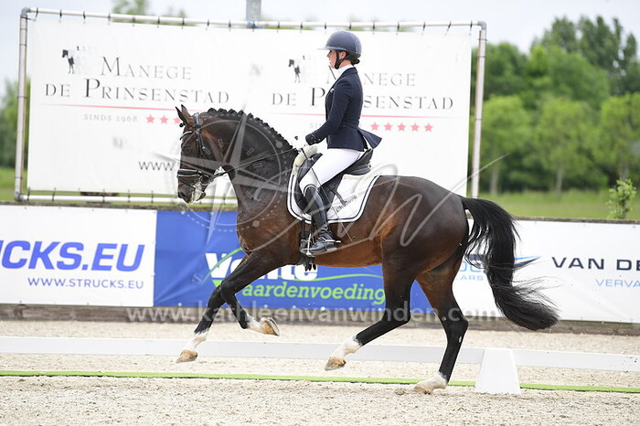 Tatum van Nugteren - Olaf