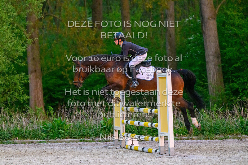 8 Klasse 100cm Paarden
