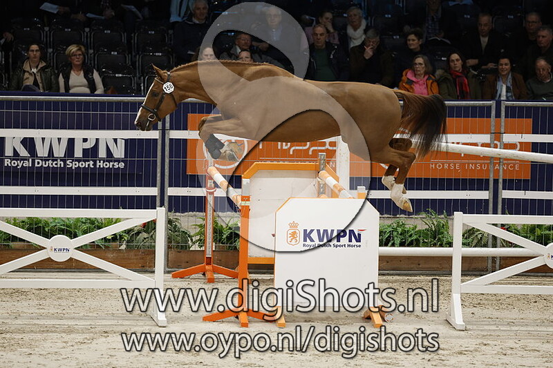 NN v. Zirocco Blue VDL - 158