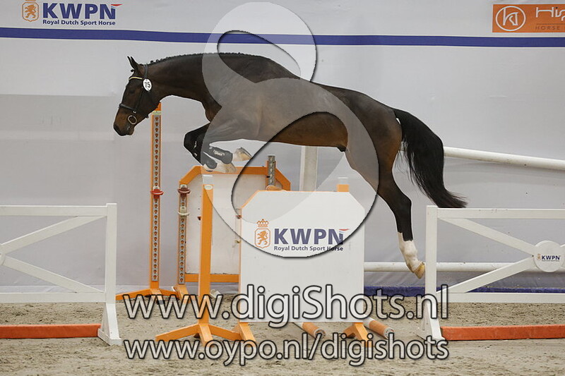 Rover Ph v. Hardrock Z - 075