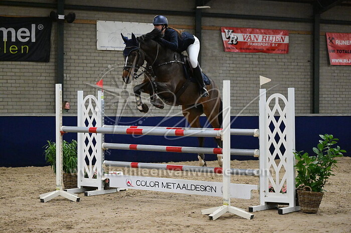 Elisa Brouwers - Oeverman