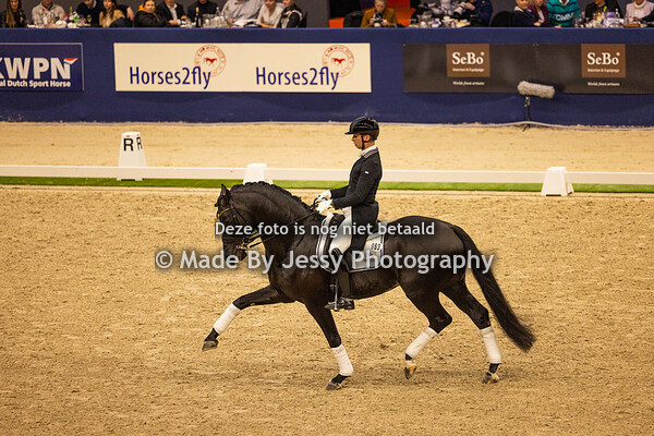 KWPN Hengstenkeuring Vrijdag Avond 