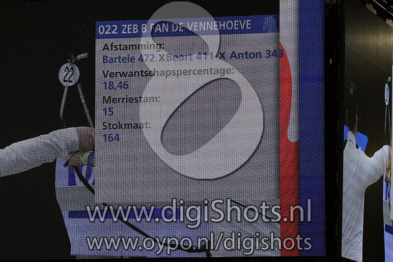 Zeb B fan de Vennehoeve