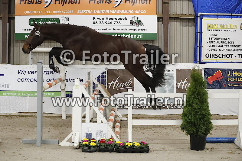 917 - Kees van dn Oude Grint