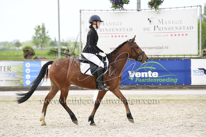 Nienke Zijlstra - Diego