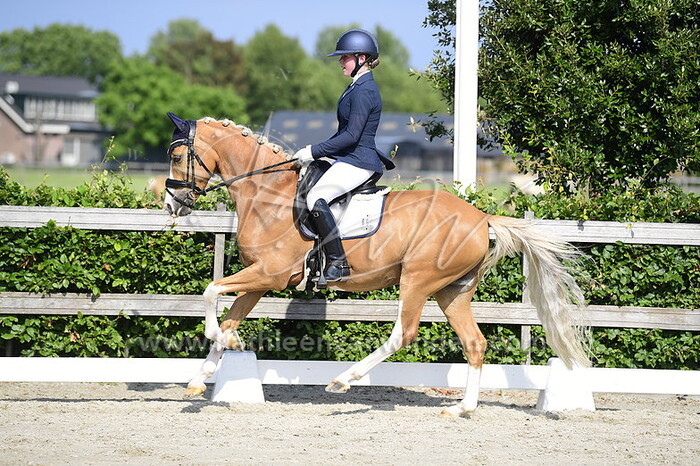 Robin Dicker - Junkbrunnen's Taj Mahal