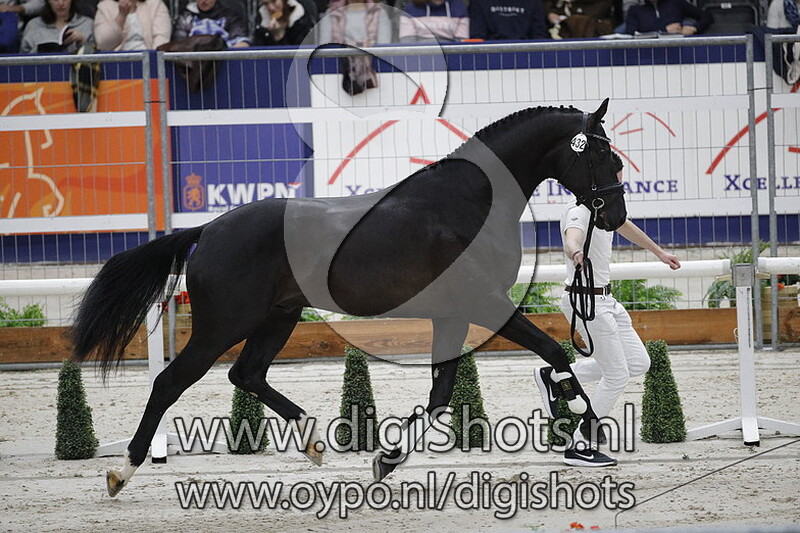 Mats van de Diekboer 432