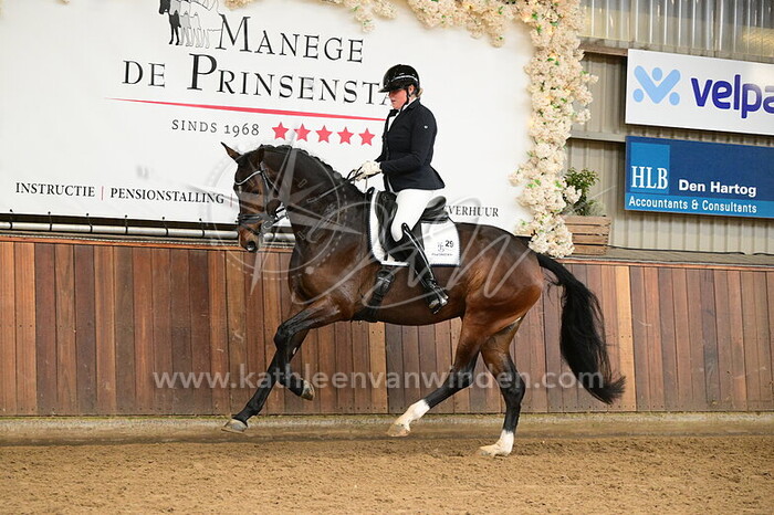 Charell van Hoff - Suntory