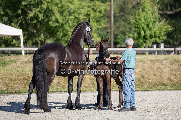 12. Foppe van de Stierenweg