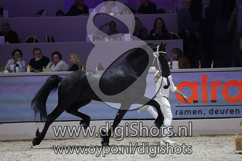 Quinn fan Preiss 209 v. Waander 512