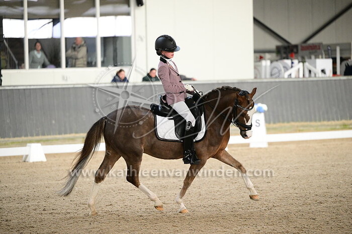 Ninthe Kinneging - Vosco's Incredible Boy