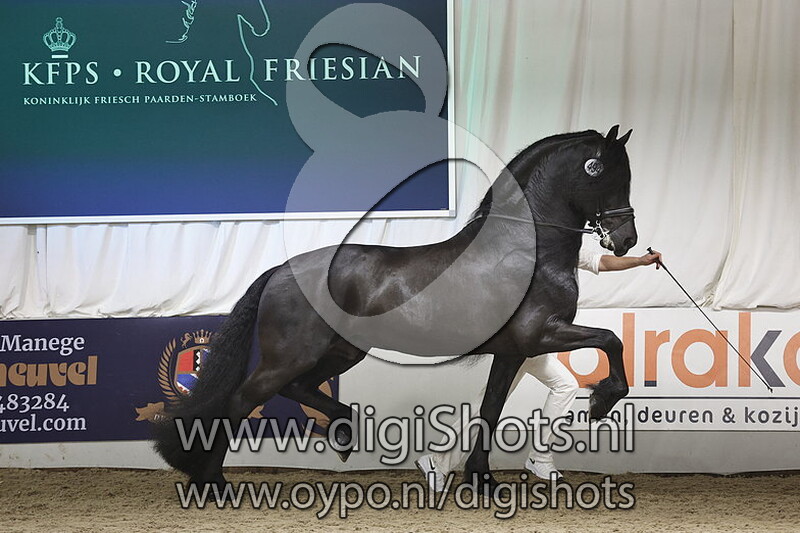 Elias 494 v. Jorn 430