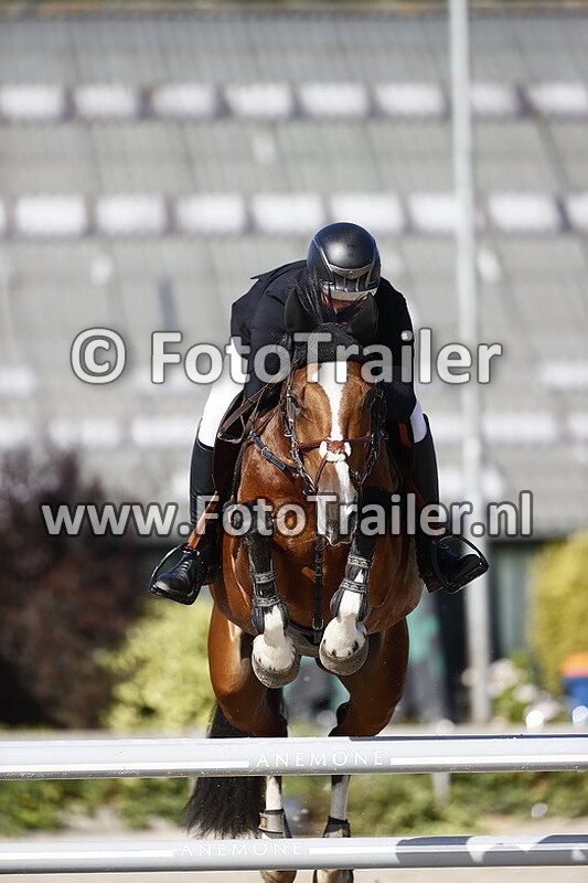 marwin van den nieuwenhuijzen