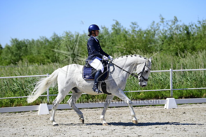Tessa Stok - Sterrenberg