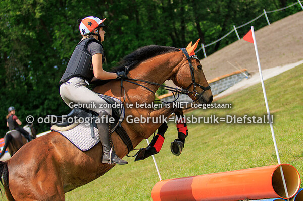 Crosstraining Margo v. Nijnatten, Millstream, Groep 4 12:00 28-05-23