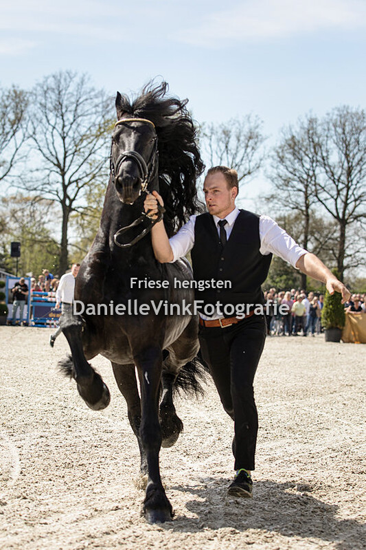 Hengstenshow Lunteren 18-04-2022 Faust 523