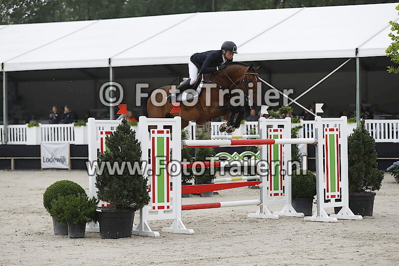 Dennis van den Brink