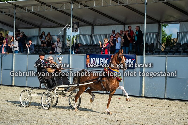 KWPN Tuigpaardendag 2023