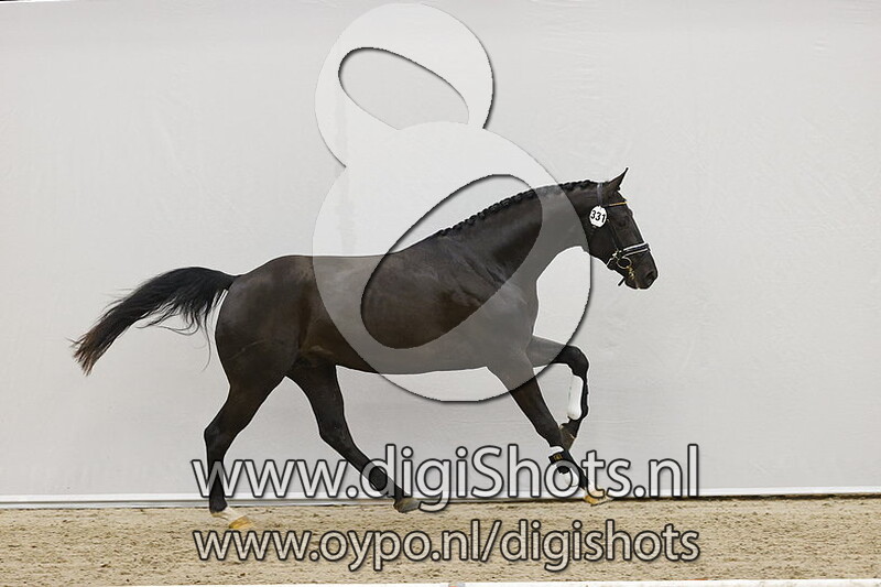 Nabucco v. Daily Diamond