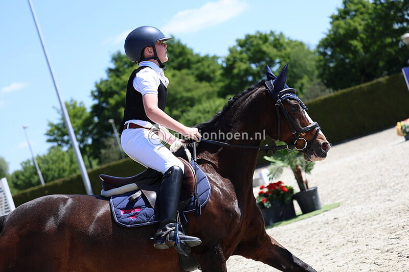 205_DENEKAMP_vanafDE-70_pony_11MEI2025