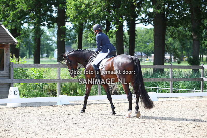 Groenewoude Dressuur 26-05-2024 16.15 uur Z1