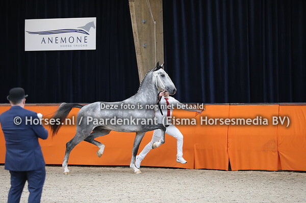 720 Nevaro van Altrido