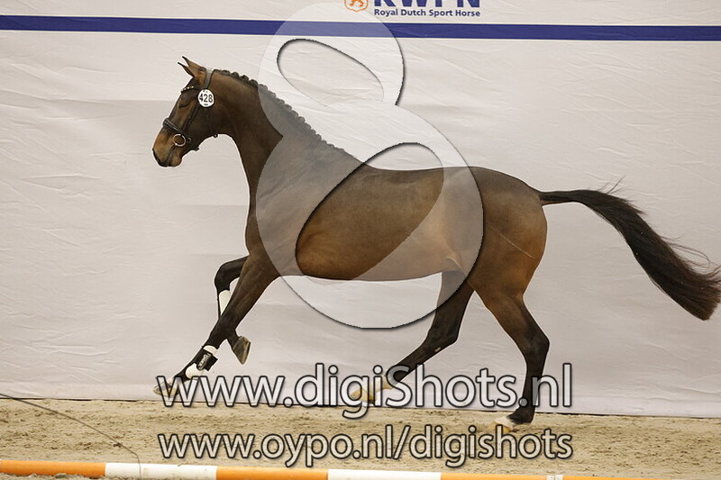 Special One v. Livius