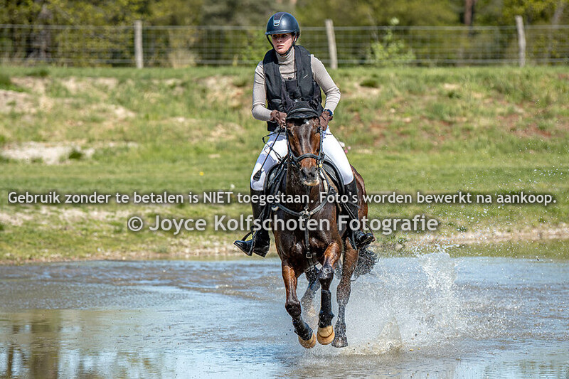 B-Paarden (zonder dressuur)