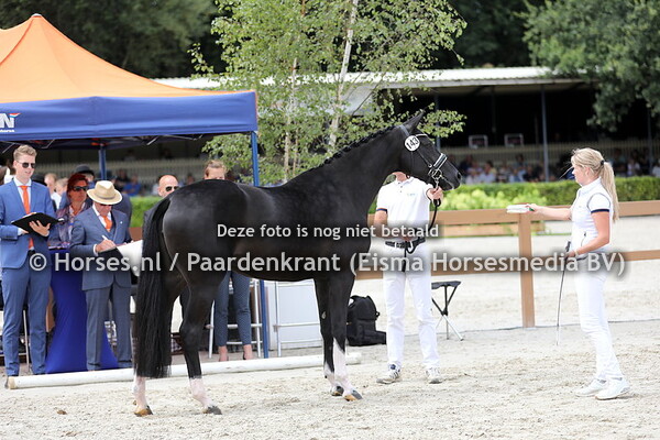 05-08-2022 KWPN Kampioenschappen 3-jr dressuurmerries