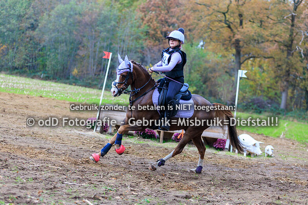 Eventing Rekken pony B 08-11-25