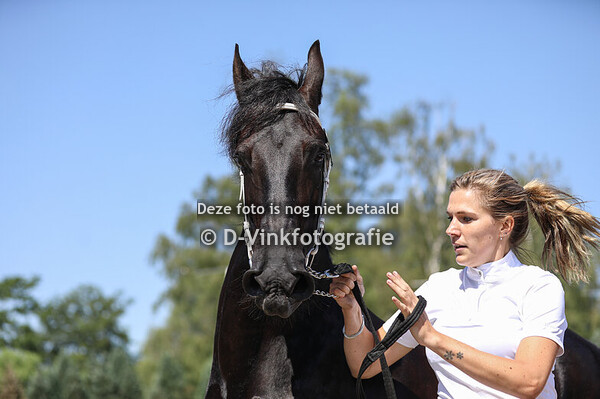 Rubriek 7 premiekeuring 4 jaar en ouder