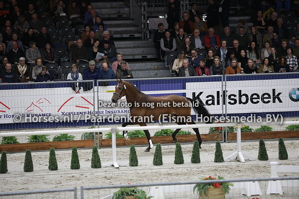 418 Moondance (Furst Romancier x Zippy Top  v. Rousseau)