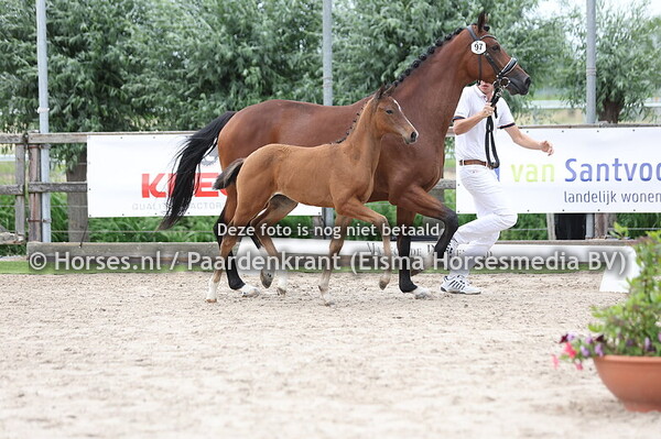 97 Vivace Extreme (Extreme US x Phenome TC v. Liverpool)