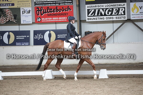 13 Wiebran (Houston x Indian-Gonda v. Cavacadour xx) Majella Elgersma