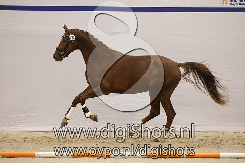 Stoner VDP v. King Karim