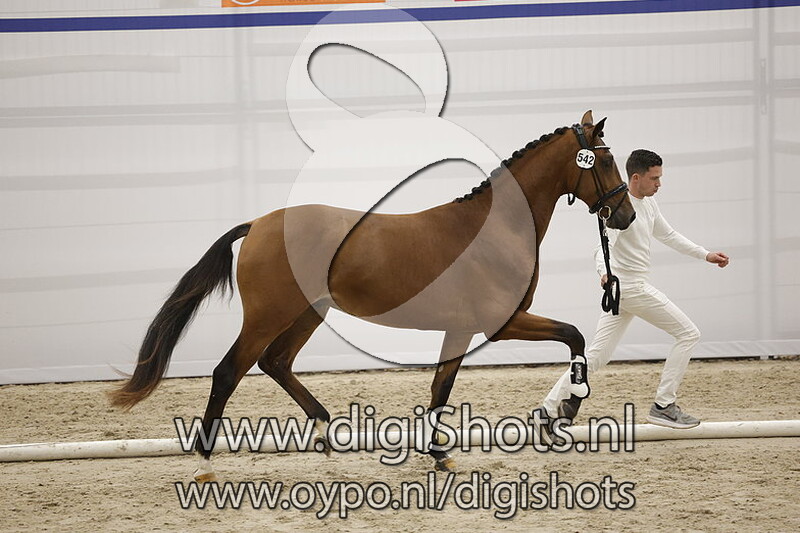 President Sr v. Valverde - 542