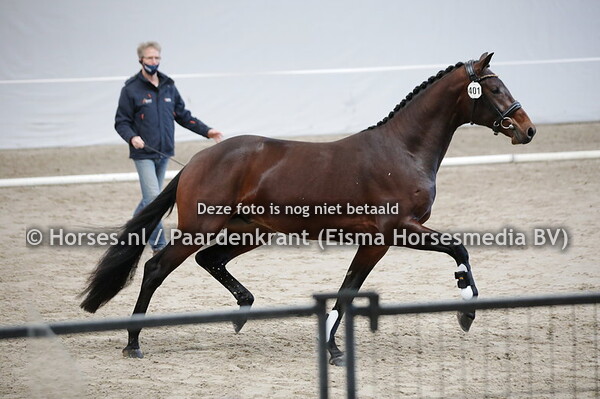 401 Odef (Franklin x Avarelle v. San Brentano)