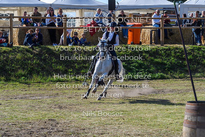 4 Working Equitation