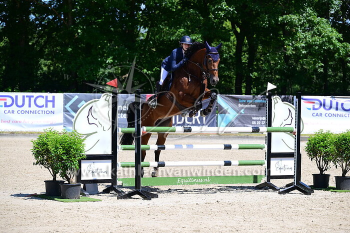 Heather Robertson - Nitro IPA