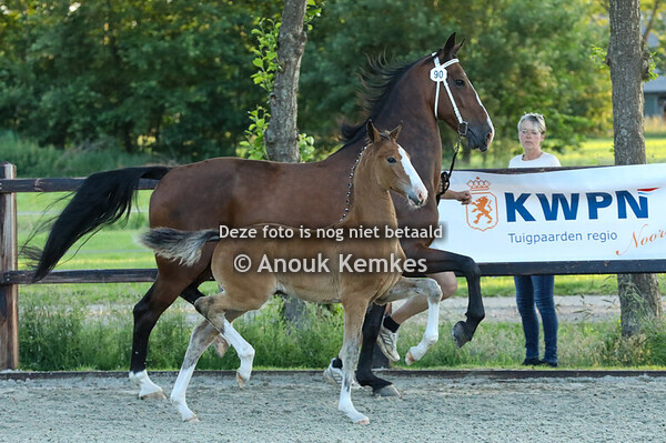 90 - Vamos NC ( Olympus x Atleet ) 