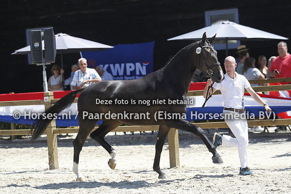 164 Kaja Maria II v Negro