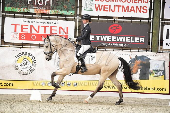 Ingrid Gerritsen - Project X