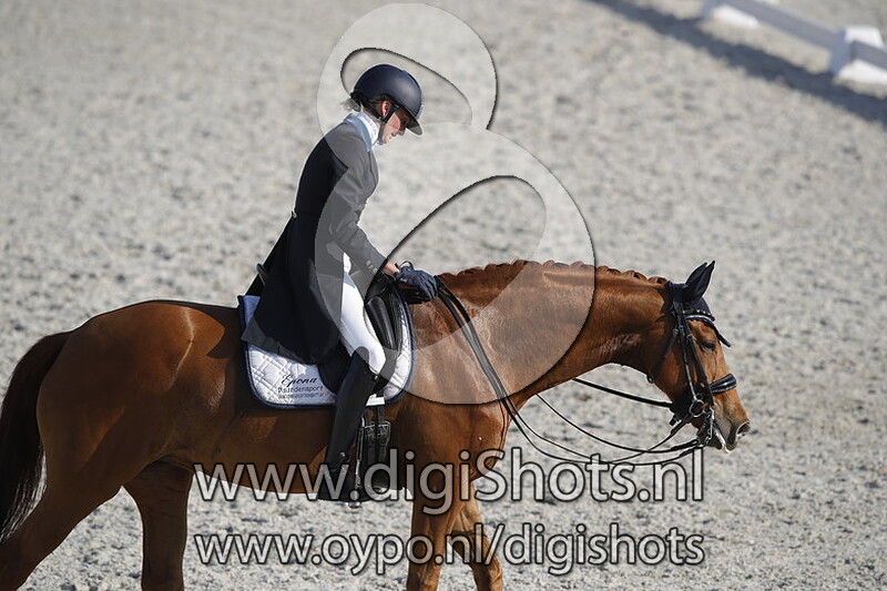 Fiesta vd Kempenhoeve