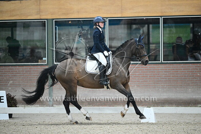 Rosa Lampert - LM'S Marshylands Akira