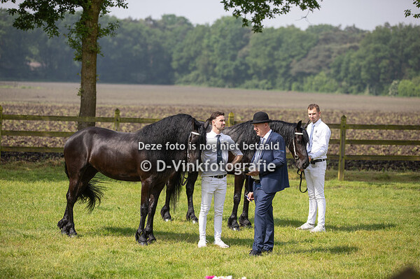 Rubriek 6B premiekeuring 3 jarigen