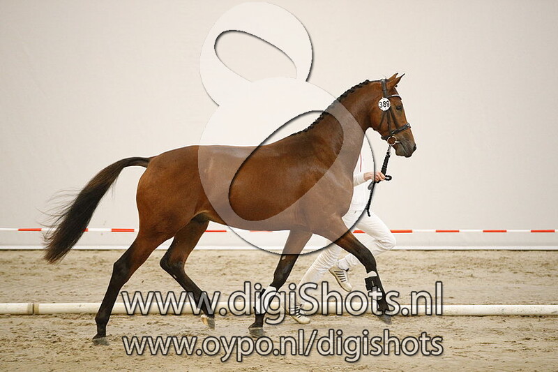 389 Lucasbell v. Ferdeaux