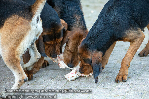 Slipjacht Liemers 2024 - JVS