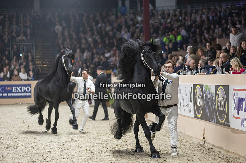 Hengstenkeuring 2023 Kanne 534